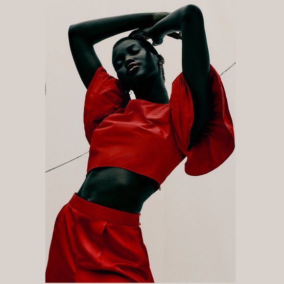 ZARA Crop Top with Ruffled Sleeves - Picture 7 of 11